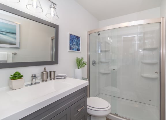 Walk-in Shower at The Valley, Cincinnati, 45242