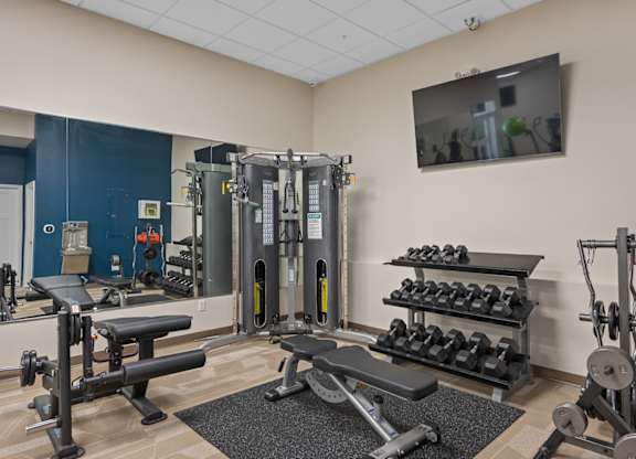 A gym with a variety of equipment including weights and a bench.