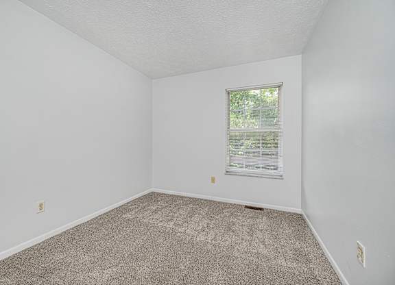 A room with a carpeted floor and a window with blinds.