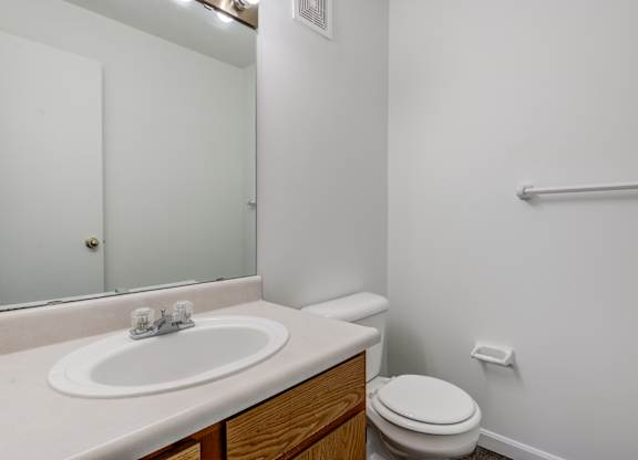 a bathroom with a sink and a toilet and a mirror