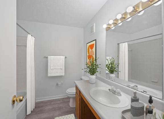 A bathroom with a white sink and a mirror above it.