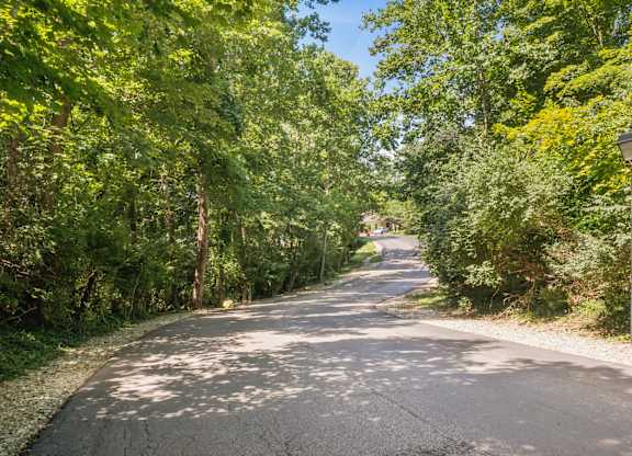 A tree-lined street with a sidewalk and a street lamp.