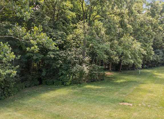 A lush green garden with a well-maintained lawn and dense trees.