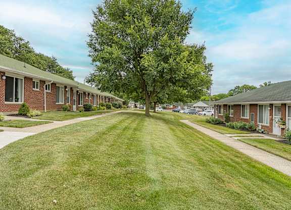A tree in the middle of a grassy area separates a row of houses.