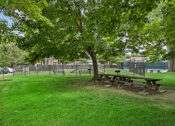 A picnic table is situated under a tree in a grassy area.