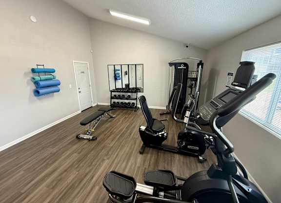 A well-equipped gym with treadmills, exercise bikes, and weights.