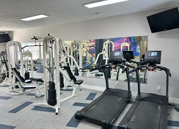 A gym with treadmills, weight machines, and a flat screen TV.