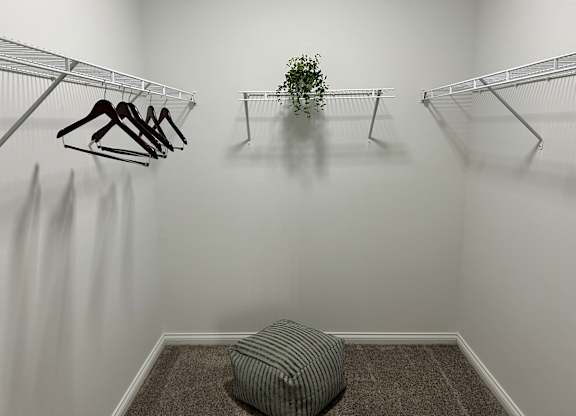 A room with a grey carpet and a potted plant on a table.