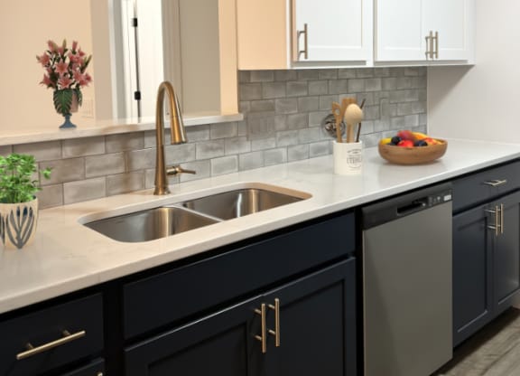 a kitchen with a dishwasher and quartz countertops at Ivy Hills Living Spaces, Cincinnati, 45244