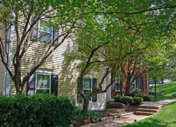 Greenery at Merrick Place, Lexington, KY, 40502