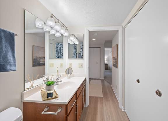 A bathroom with a white sink and a mirror above it.