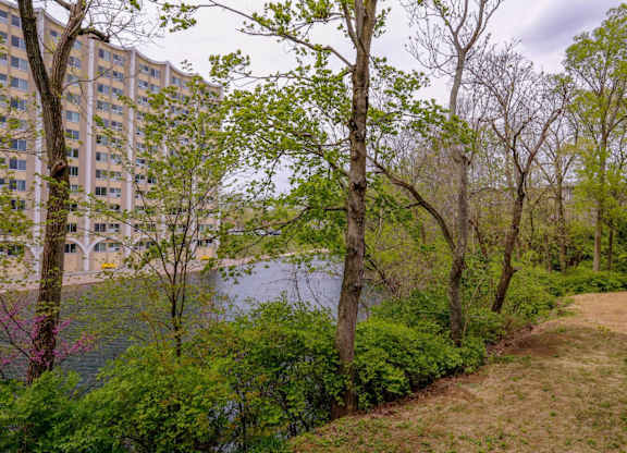 A river runs through a wooded area with apartment buildings in the background.