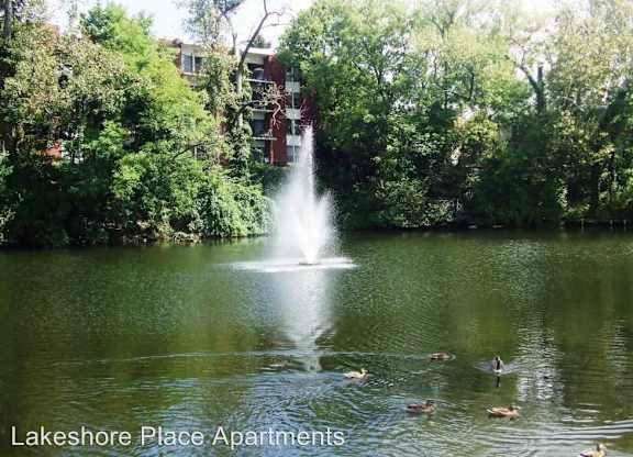 A fountain in the middle of a lake surrounded by trees and ducks.
