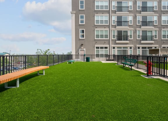 a large green lawn in front of an apartment building