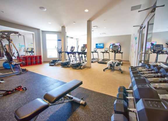 a gym with cardio equipment and weights on the floor