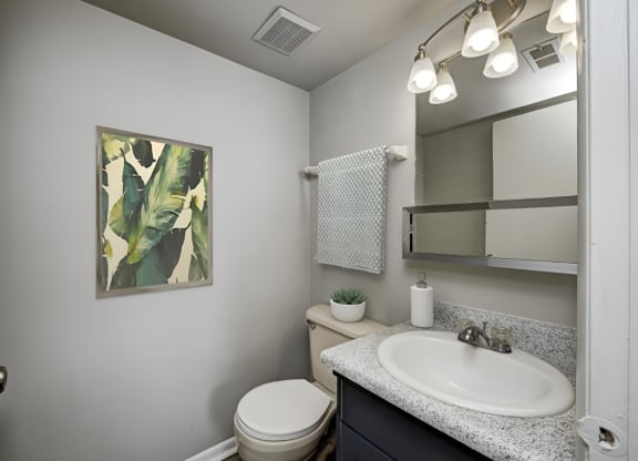 a bathroom with a sink and a toilet and a mirror at Quail Run Apartments, Columbus, IN
