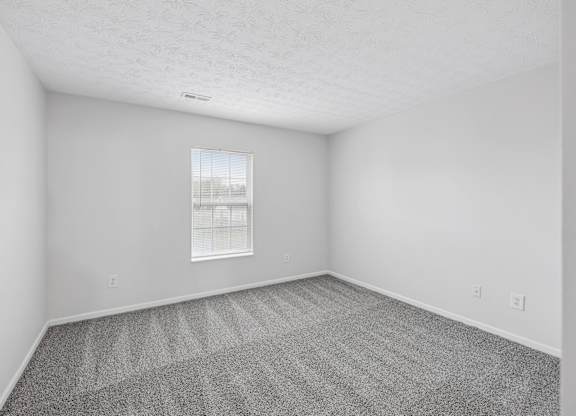 A room with a carpeted floor and a window.