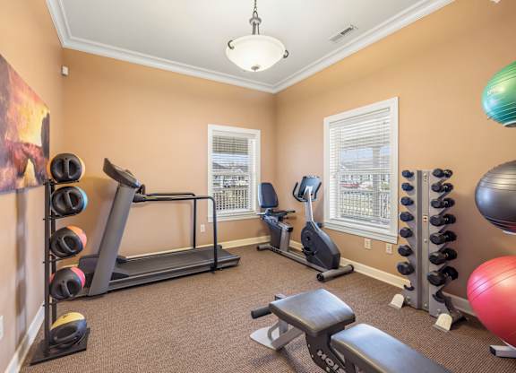 A home gym with a treadmill, weights, and exercise balls.