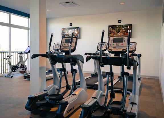 a rack of exercise equipment in a gym