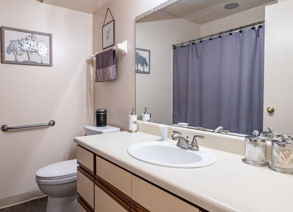 a bathroom with a sink and a toilet and a mirror