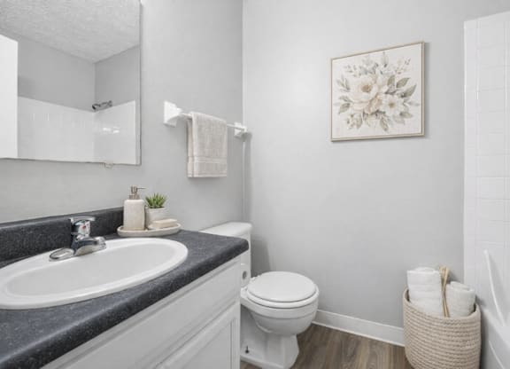 bathroom with wall painting at Timbercreek Apts, Columbus, OH