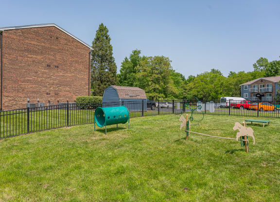 the preserve at ballantyne commons dog park