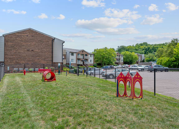 our apartments offer a dog park with a playground at The Woodridge Collection, Ohio