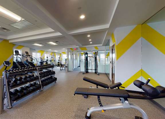 A gym with treadmills, dumbbells, and benches at Rose Hill Apartments, Virginia, 22310