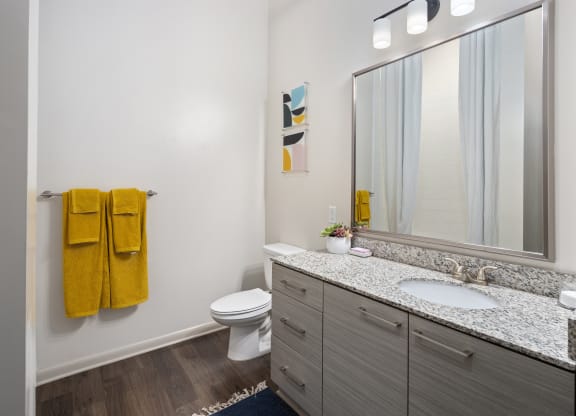 a bathroom with a large mirror and a sink and a toilet