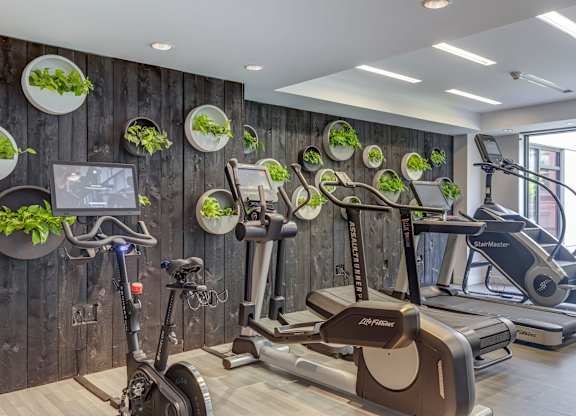 A gym with treadmills, exercise bikes, and a wall of green plants.