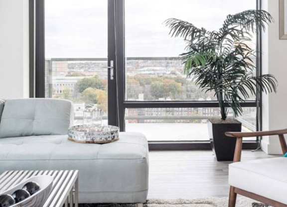 A living room with a grey couch, a coffee table, a potted plant, and a large window.