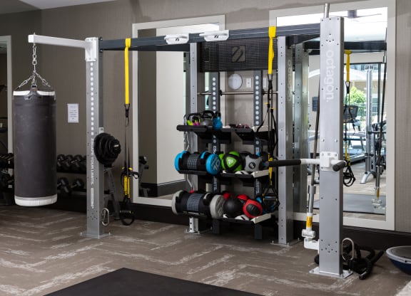 a gym with weights and a punching bag in it