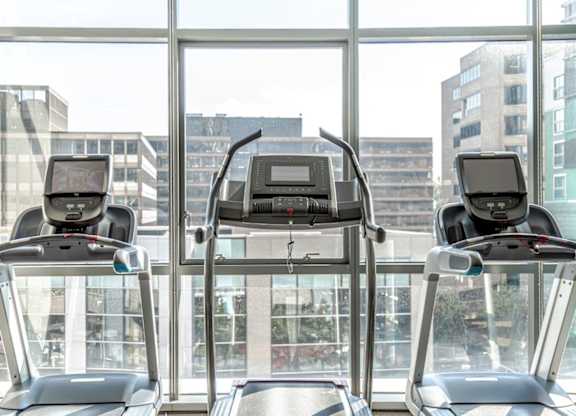 Three treadmills are lined up in a row in front of a large window.
