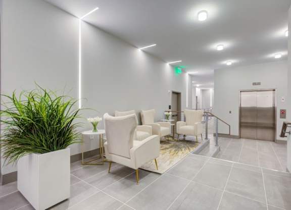 A waiting room with chairs and a plant.