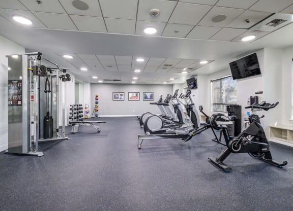 the gym at the benjamin pa