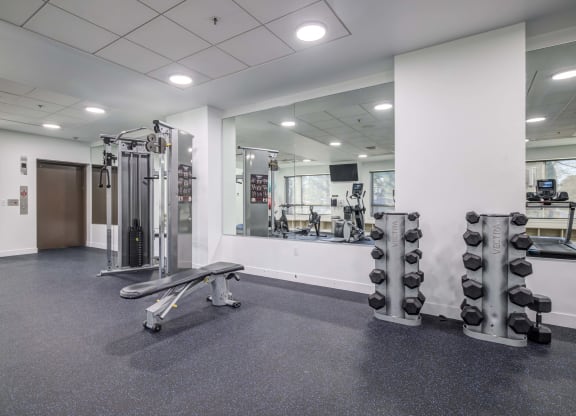 the gym at the benjamin franklin school philadelphiaadelphia pa