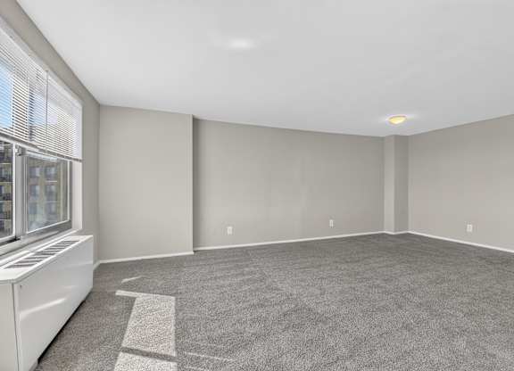 A large empty room with a carpeted floor and a window on the left side.