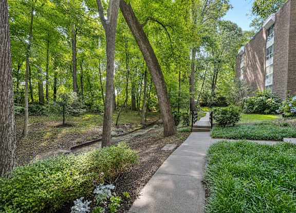 A pathway in a park with green trees and bushes.