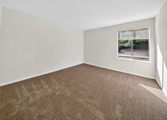 A room with a carpeted floor and a window showing a view of a street.