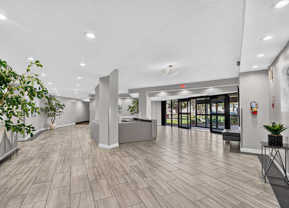 A reception area with a grey reception desk and a potted plant on the side.