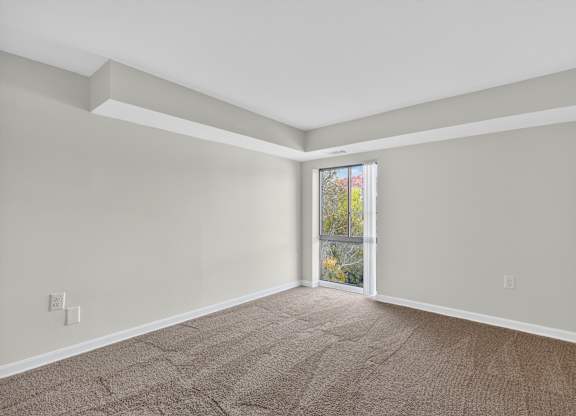 A room with a carpeted floor and a window showing a tree.