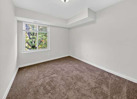 A room with a carpeted floor and a window showing trees outside.