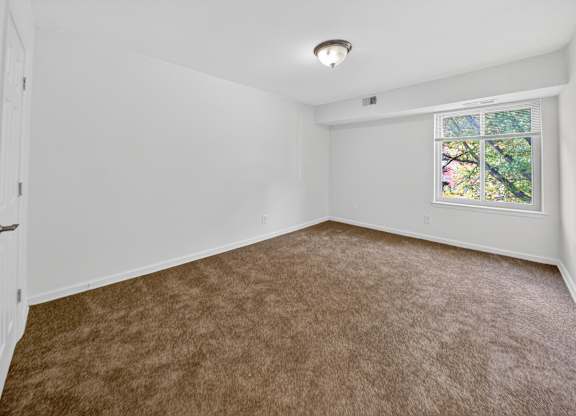 A room with a carpeted floor and a window with a view of trees.
