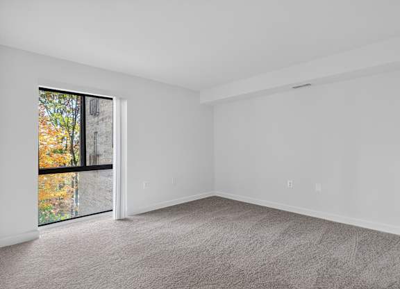 A room with a carpeted floor and a window with a view of trees outside.