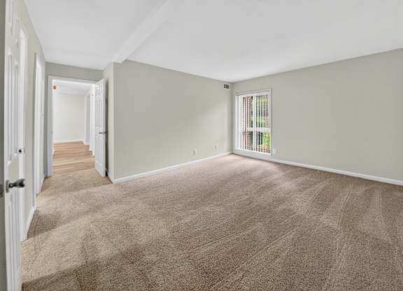 A room with a carpeted floor and a window with blinds.
