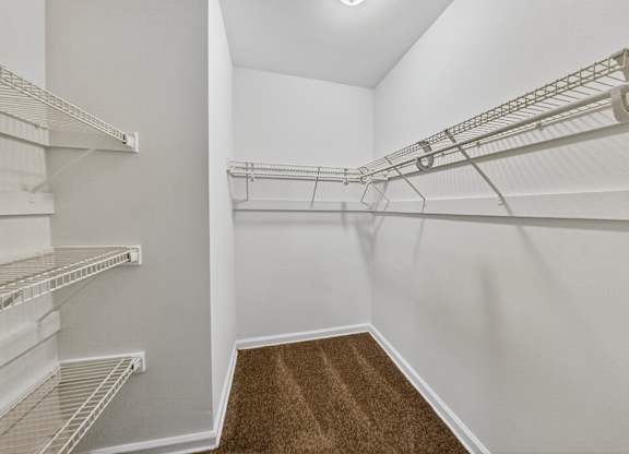A walk-in closet with white shelving and a brown carpet.