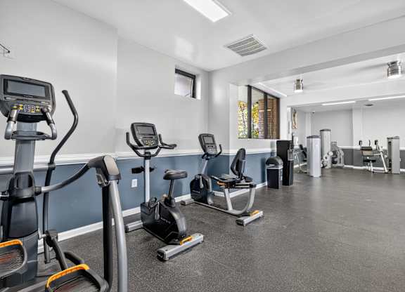 A gym with treadmills, exercise bikes, and other equipment.