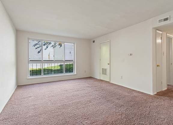 A room with a carpeted floor and a window with a view of a fence and trees.