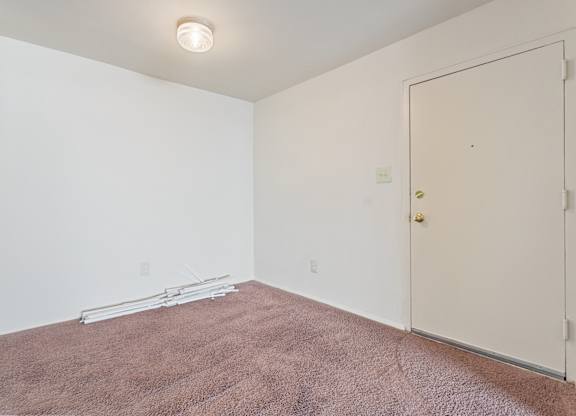 A room with a brown carpet and a white door.