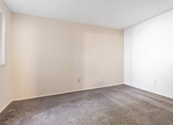 A room with a carpeted floor and white walls.